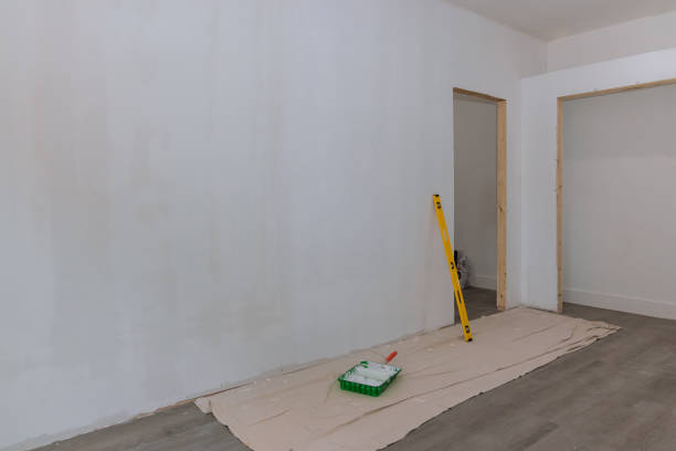 Best Attic Mold Removal  in Random Lake, WI