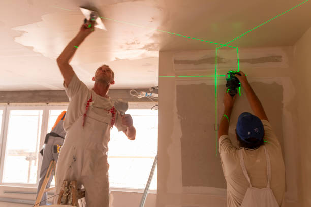 Best Mold Documentation for Insurance Claims  in Random Lake, WI
