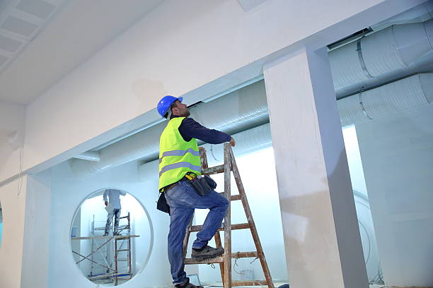  Random Lake, WI Mold Removal Pros