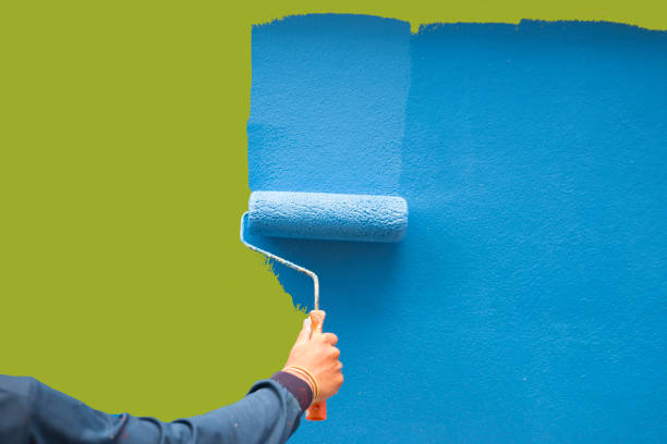 Trusted Random Lake, WI Mold Removal Experts